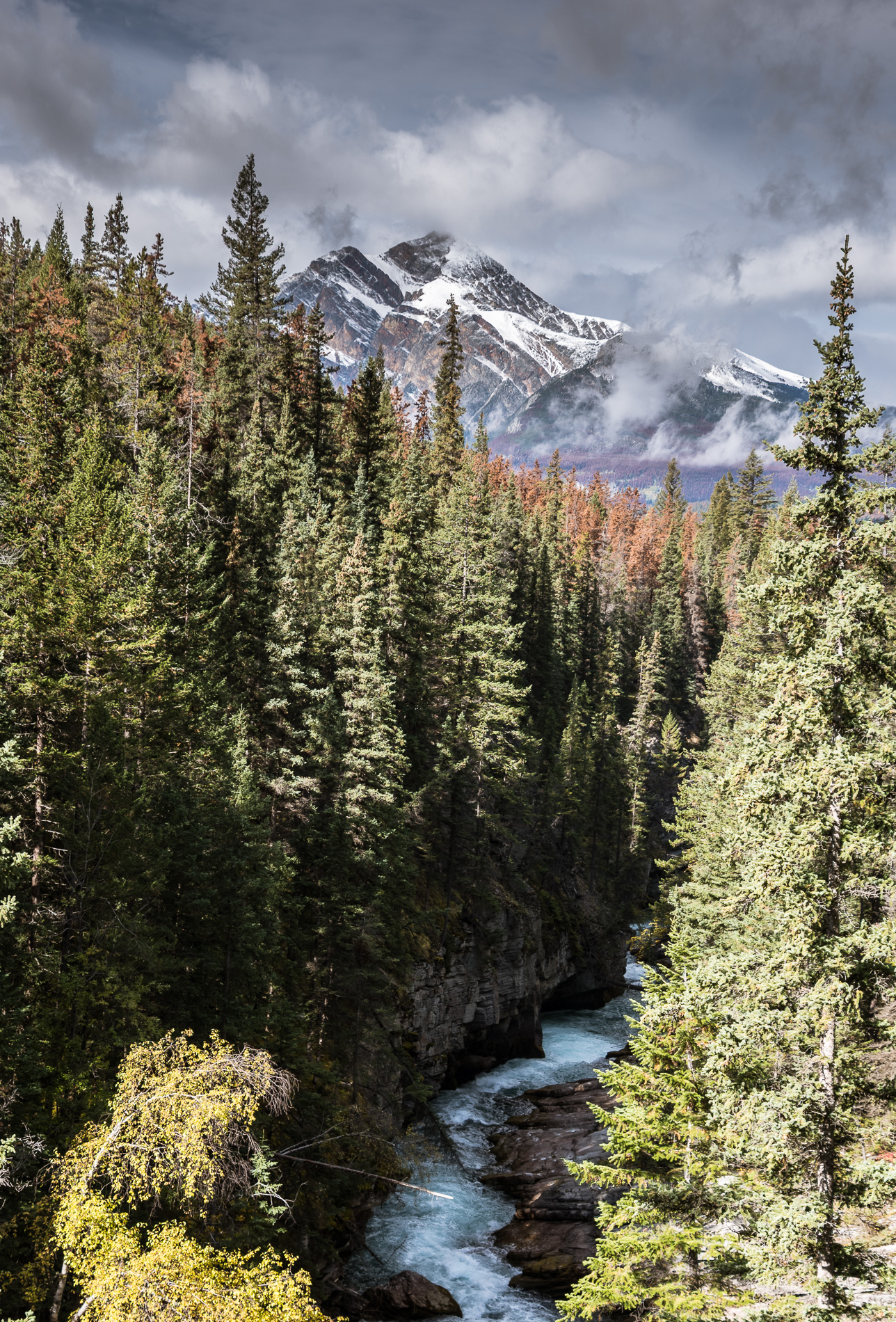 Canadian Rockies